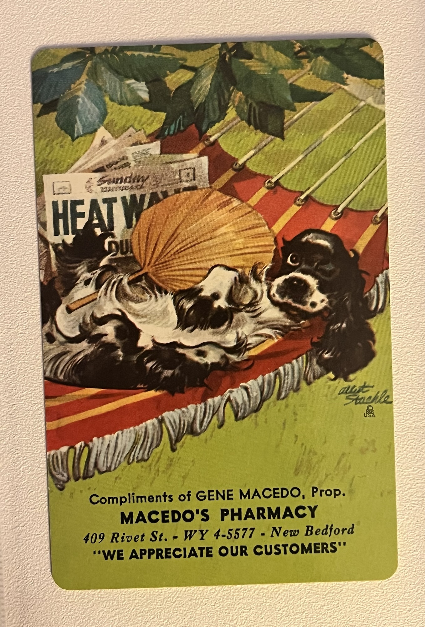 Butch at the Corner Drugstore: Macedo’s Pharmacy of New Bedford
